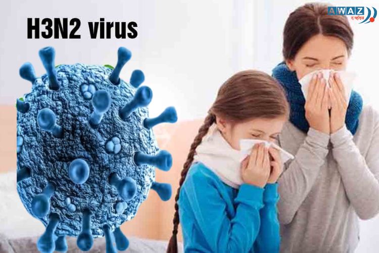 H3N2 विषाणू - प्रातिनिधिक फोटो 