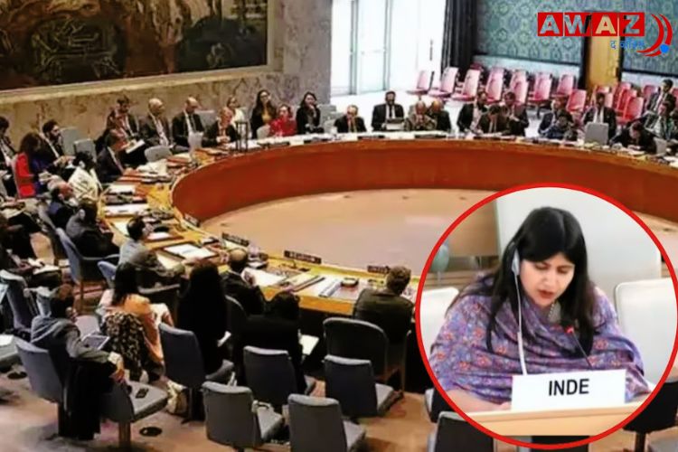 काश्मीर मुद्द्यावर पाकिस्तानला सुनावताना भारताच्या महिला अधिकारी