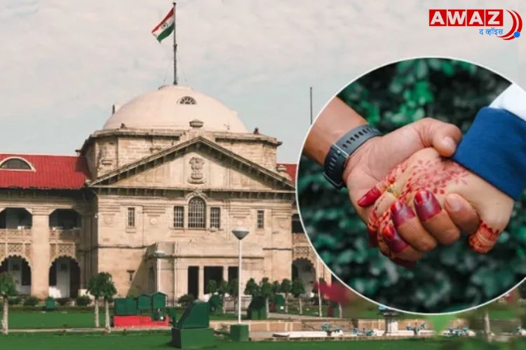 प्रातिनिधिक फोटो