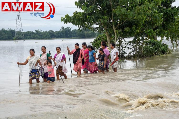 प्रातिनिधिक चित्र 