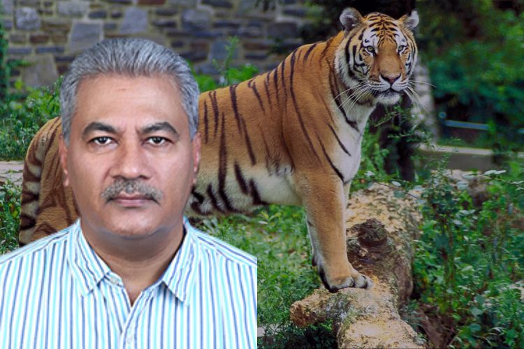 IBCA चे महासंचालक SP यादव 