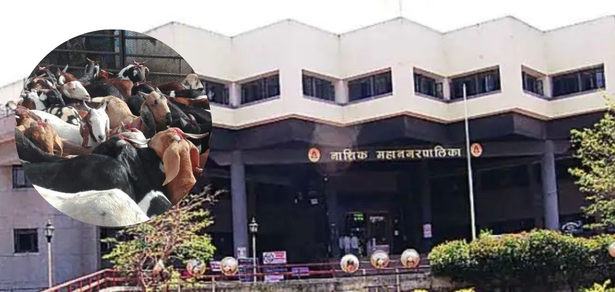 प्रातिनिधिक फोटो