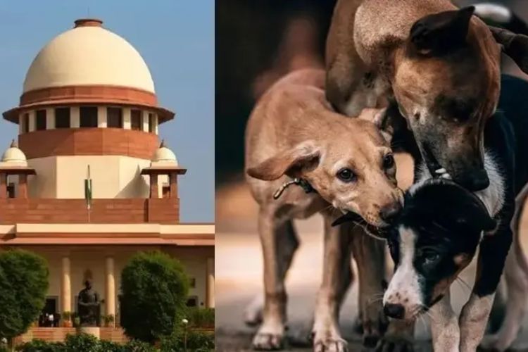 प्रातिनिधिक चित्र 