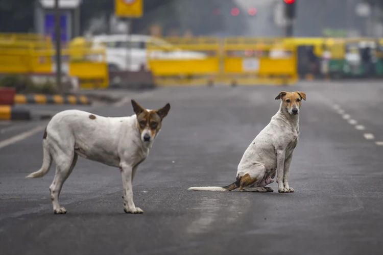 प्रातिनिधिक फोटो