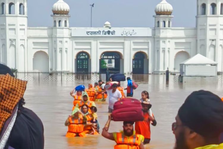प्रातिनिधिक फोटो