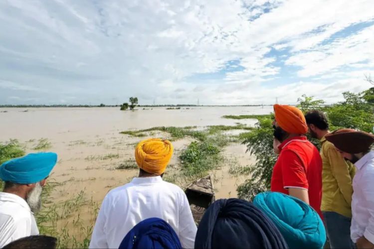 प्रातिनिधिक फोटो