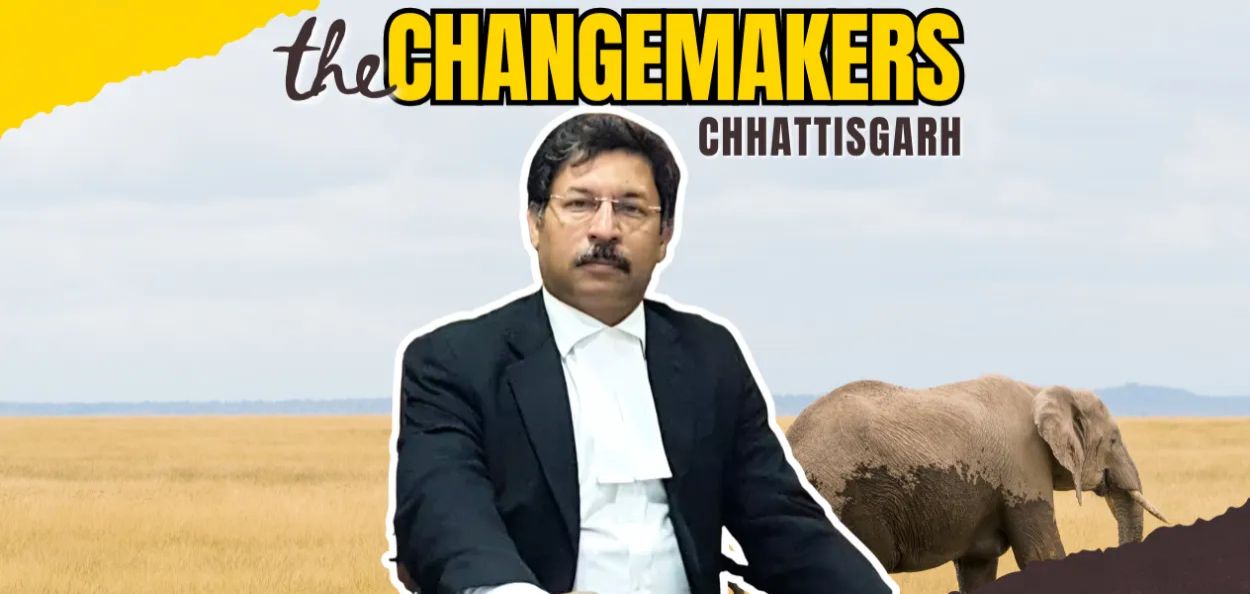 फैसल रिझवी