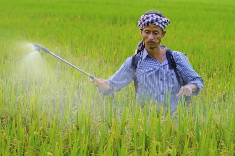 प्रातिनिधिक फोटो