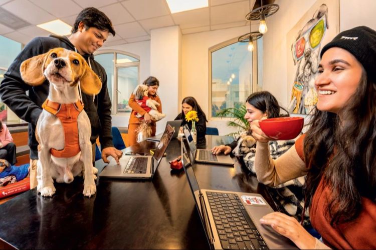 प्रातिनिधिक फोटो