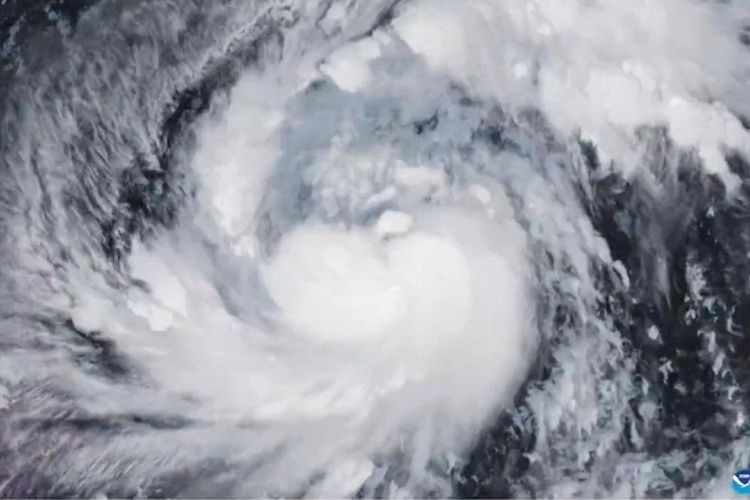 प्रातिनिधिक चित्र 