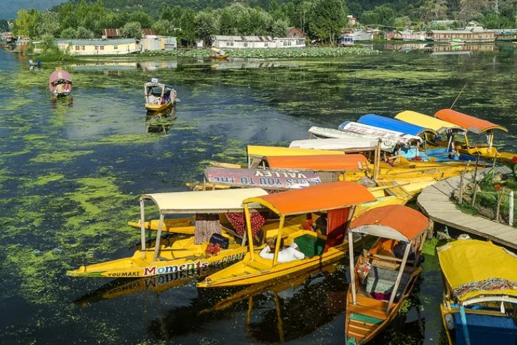 प्रातिनिधिक फोटो