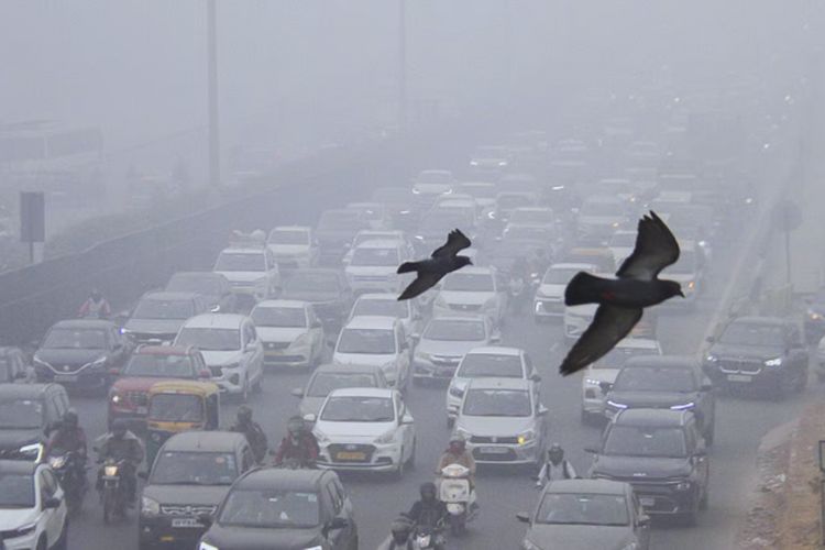 प्रातिनिधिक फोटो