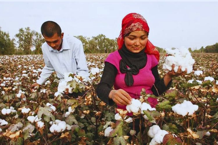 प्रातिनिधिक फोटो