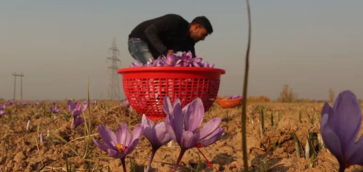 प्रातिनिधिक फोटो