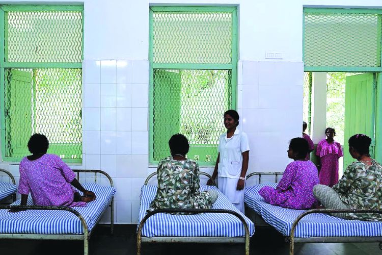 प्रातिनिधिक फोटो