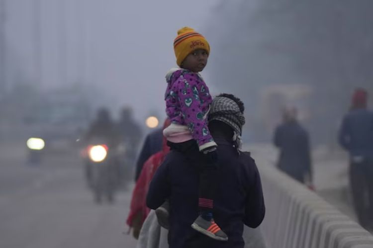 प्रातिनिधिक फोटो