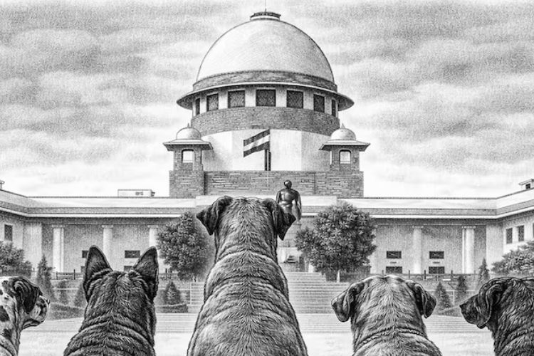 प्रातिनिधिक फोटो