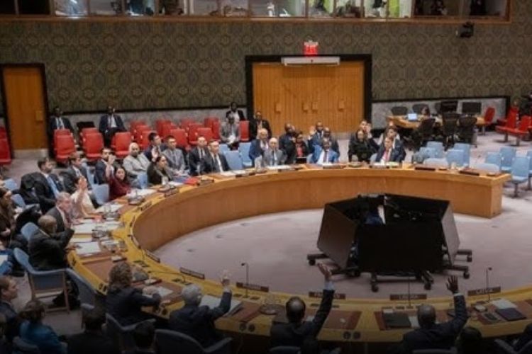 प्रातिनिधिक फोटो