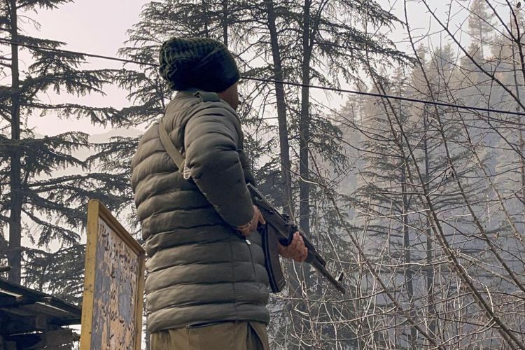 प्रातिनिधिक फोटो