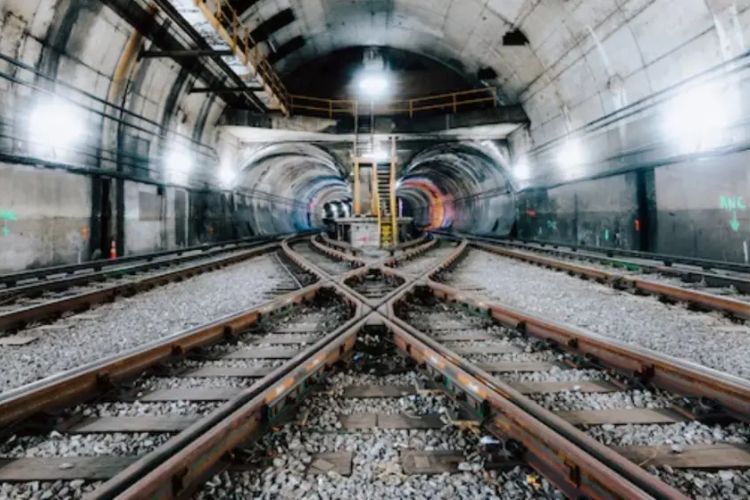 प्रातिनिधिक फोटो