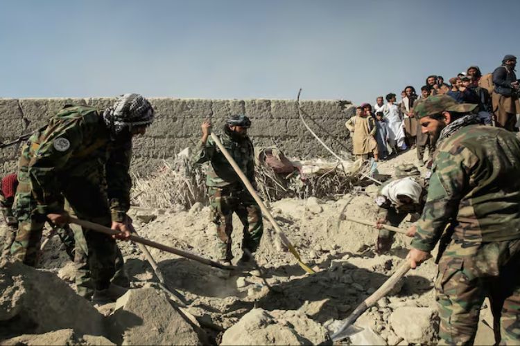 प्रातिनिधिक फोटो