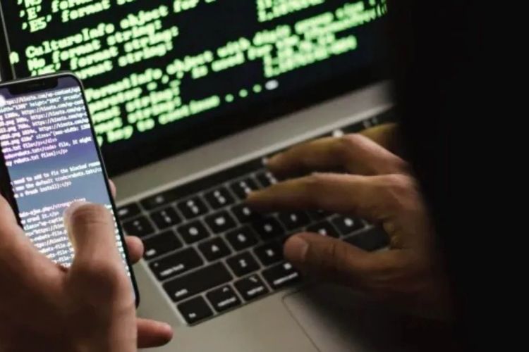 Maharashtra and UP High Risk States in Mule Account Cases Report