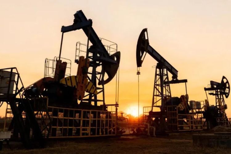 प्रातिनिधिक फोटो