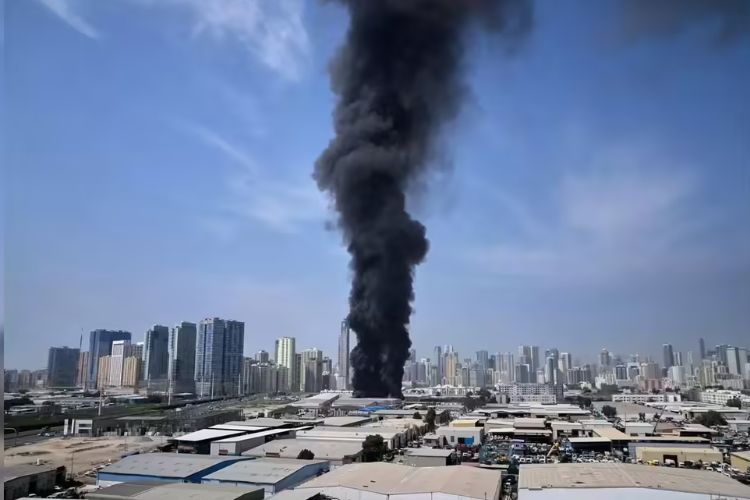 प्रातिनिधिक फोटो