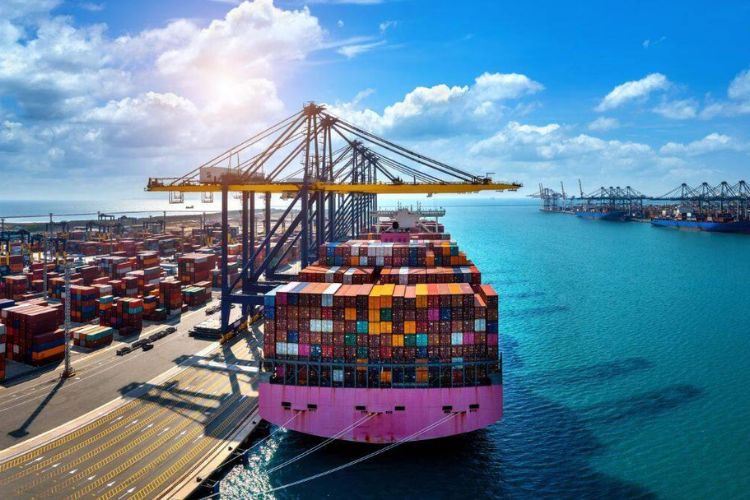 प्रातिनिधिक फोटो