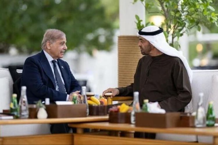 प्रातिनिधिक फोटो