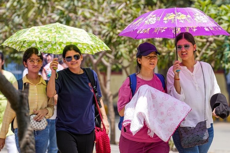 उन्हाळ्याच्या कडाक्यापासून बचाव करण्यासाठी छत्रीचा वापर करणारे नागरिक
