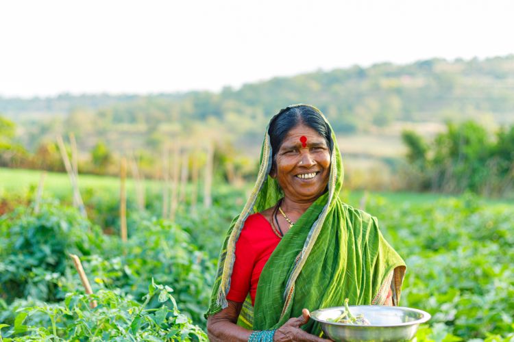 प्रातिनिधिक फोटो