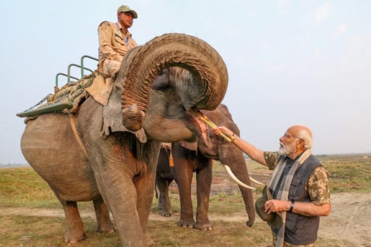 पंतप्रधान नरेंद्र मोदी