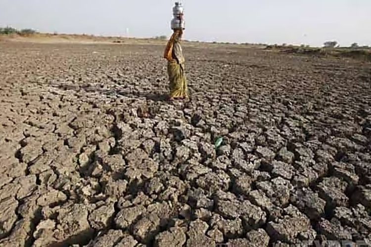 दिवाळीपूर्वी राज्यातील दुष्काळग्रस्त शेतकऱ्यांना मदत मिळणार