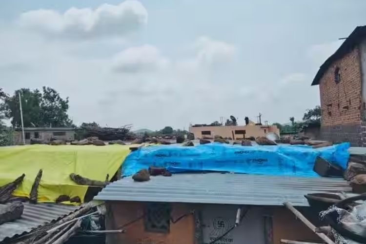 प्रातिनिधिक इमेज 