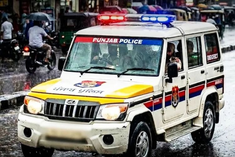 प्रातिनिधिक इमेज 