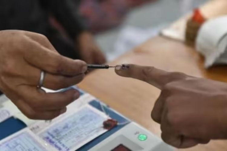 प्रातिनिधिक इमेज 